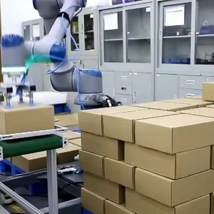 <strong>Robot</strong> Arm Cobot <strong>Robot</strong> Arm Industrial <strong>Robot</strong> Arm 3kg 5kg 10kg for Food Palletizer - Product Image 1