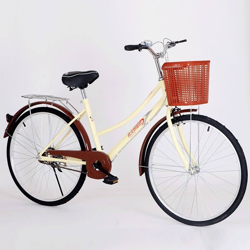 Panier de voiture rose princesse de 24 pouces