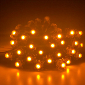 Best Selling 12mm <strong>Led</strong> <strong>Pixel</strong> <strong>String</strong> <strong>Light</strong> RGB Full Color Programmable DC5V <strong>Led</strong> Module <strong>Pixel</strong> <strong>Light</strong> Smart <strong>Pixel</strong> Christmas <strong>Lights</strong> - Product Image 2