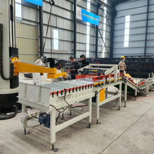 Braccio robot macchina pallettizzatore a colonna singola in cartone automatico completo - Product Image 6