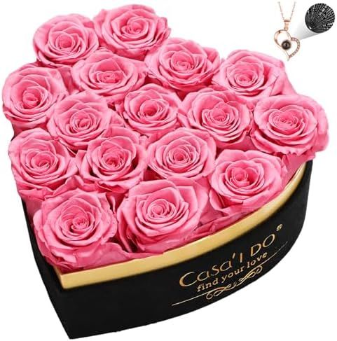16 rose rosa