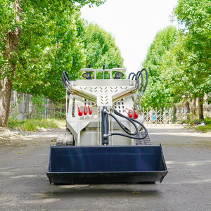 Fast Delivery! Skid Steer <strong>Loader</strong> with Track Mini Skid Steer Track <strong>Loader</strong> Skid Steer - Product Image 4
