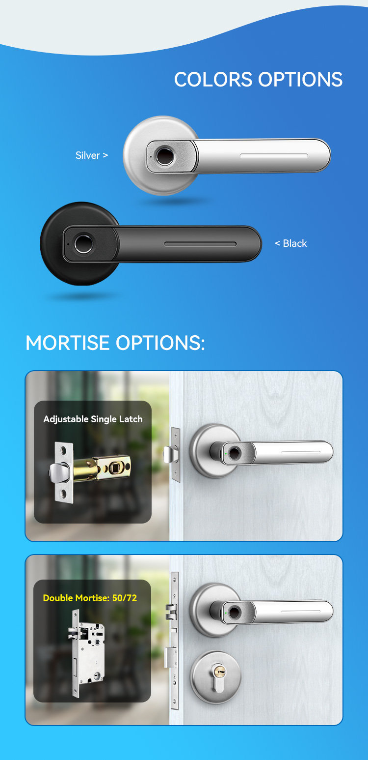 Tediton APP Anti Theft Remote Control Smart Lock Guangdong Lever Magnetic Fingerprint Door Lock