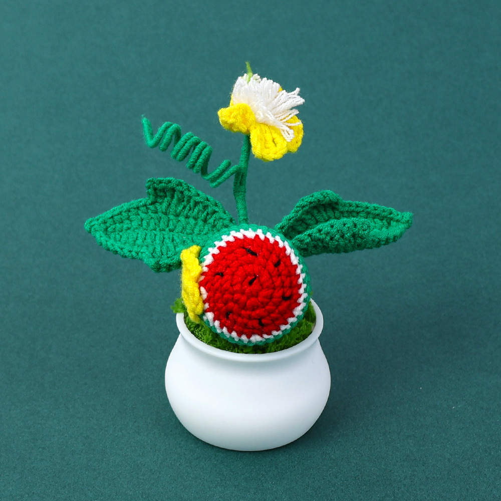 Plante en pot pastèque snack (feuilles vert militaire)