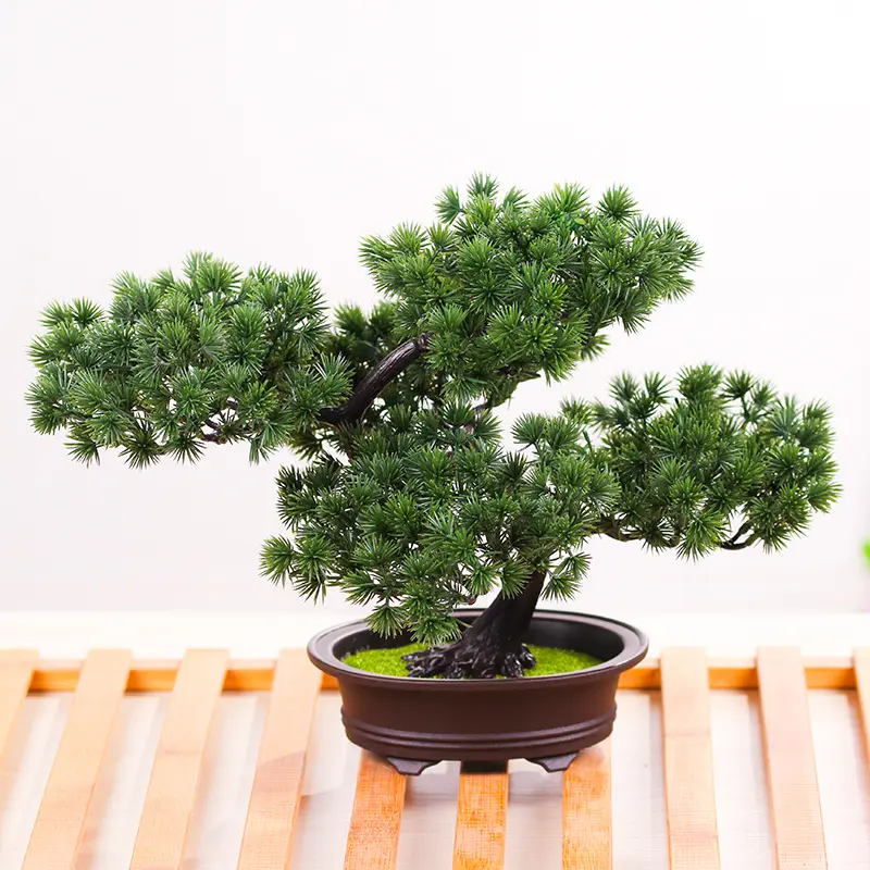 Toptan yeni tasarım yüksek kalite yapay çam ağacı Bonsai ev kapalı dekorasyon için rekabetçi fiyat ile