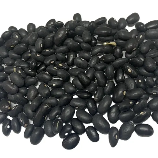 2023 new crop black soy bean hot sale