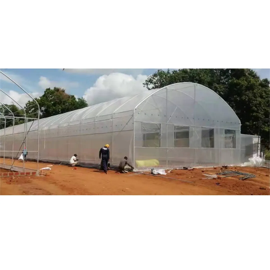 Сельскохозяйственные туннельные теплицы, оцинкованная стальная конструкция, каркас зеленого дома для наружной посадки, томатный зеленый дом