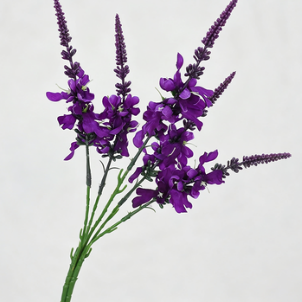 violet foncé
