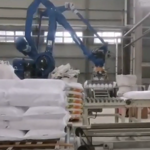 Yaskawa Motoman Palletizing Robot Smart Robotic Arm Payload 190kg Robotic Arm Palletizer