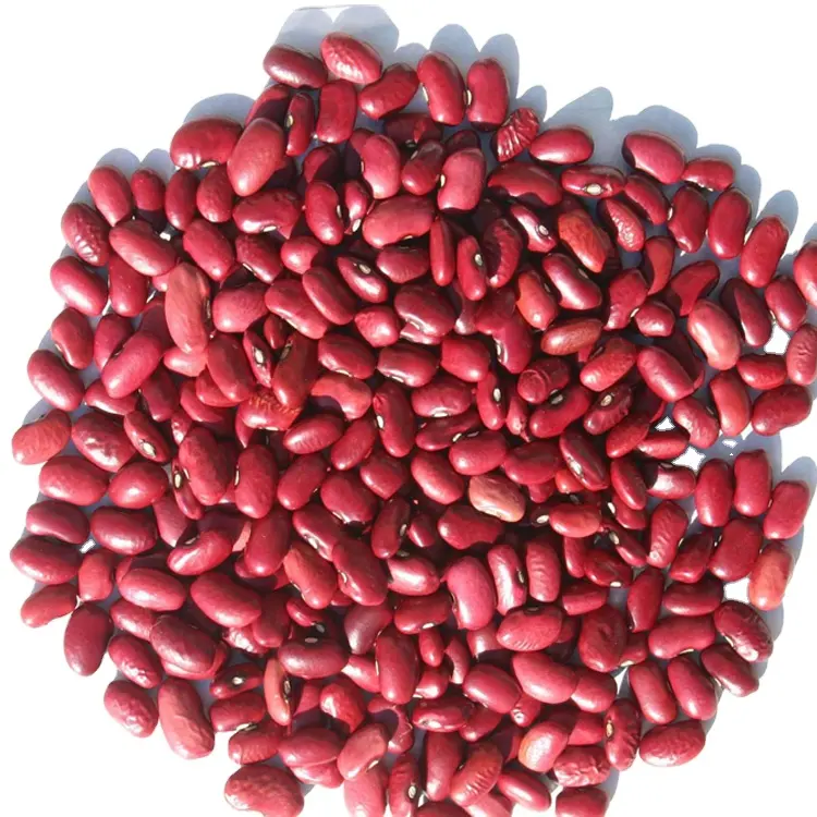 Замороженные красные фасоли являются оптовым поставщиком высококачественных красных фасоли по конкурентоспособной цене