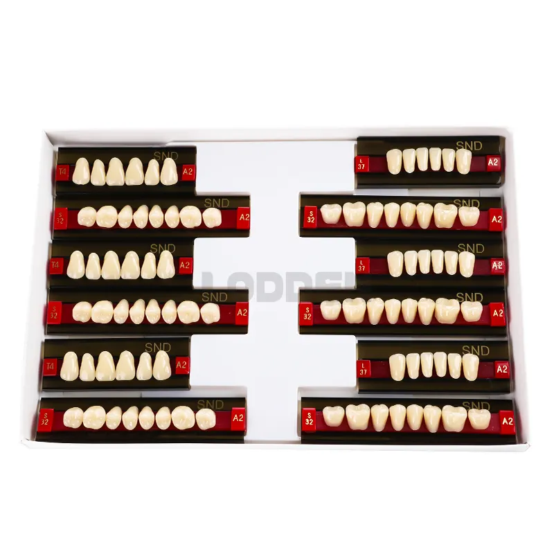 Dientes de resina acrílica Dental multicapa OEM para dentaduras resina sintética dientes acrílicos prótesis Dental