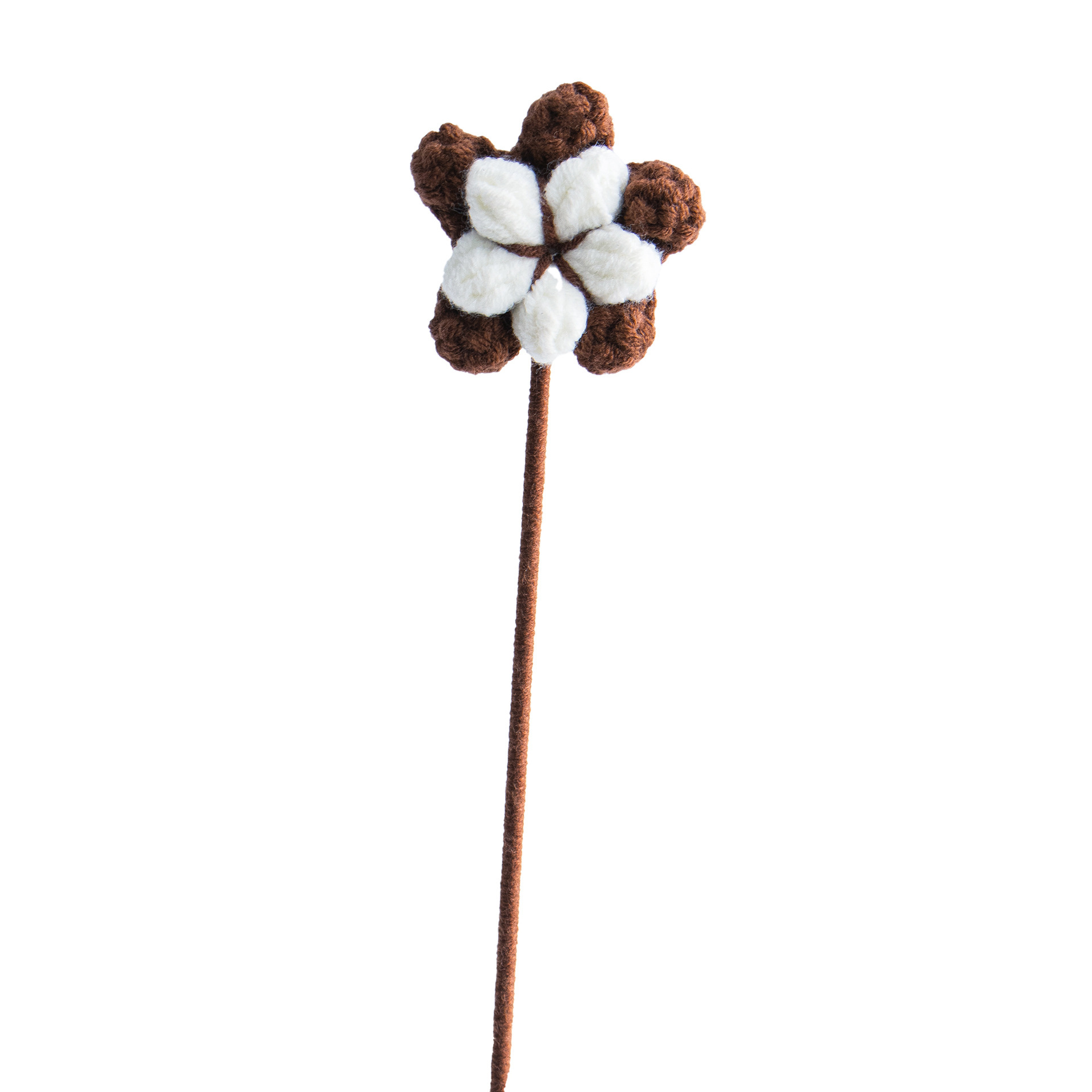 Cotone