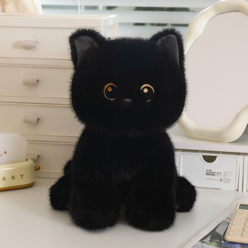 Gato negro