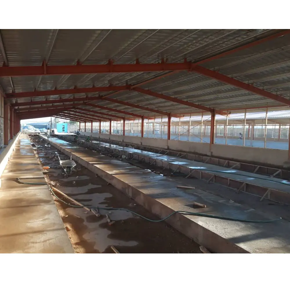 Ready made truss roof broiler chicken farm house design for poultry