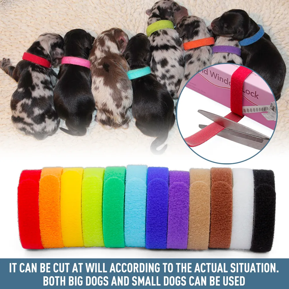 Meilleure vente, colliers d'identification de chiot en tissu doux réglable, 15 couleurs pour chien et chat