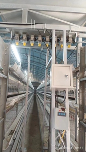 H Type <strong>3</strong> Tiers <strong>Chicken</strong> Pens and Welded Wire Mesh Galvanized <strong>Chicken</strong> Cage With Automatic Control System for <strong>Chicken</strong> House - Product Image 6