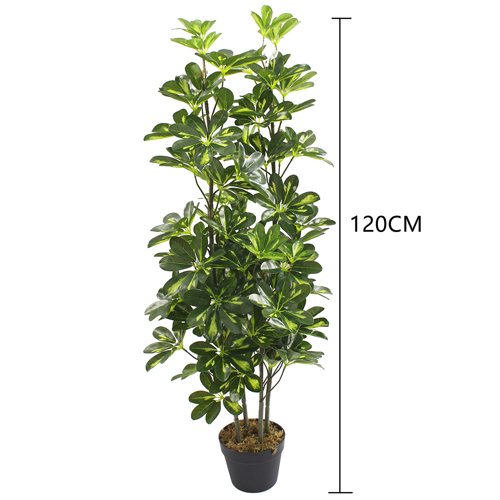 120CM
