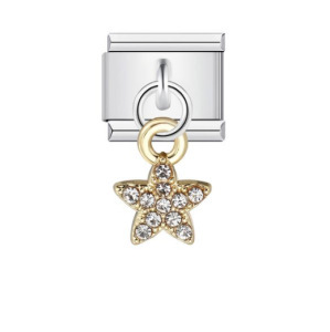 Icg037 argent