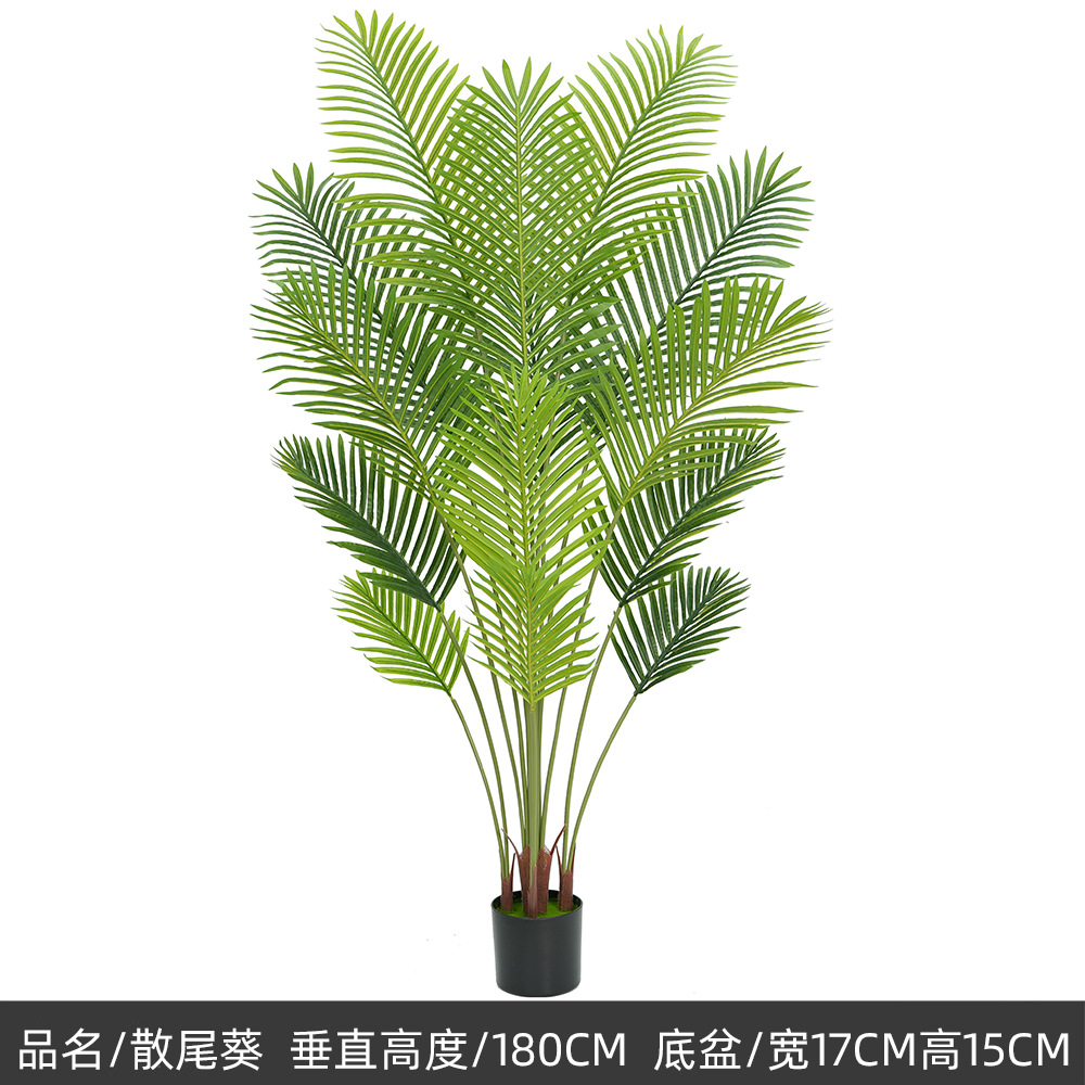 180cm new sanwei kwai, b