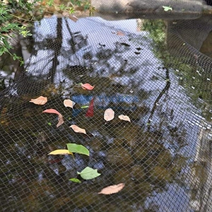HDPE Anti <strong>Bird</strong> protection <strong>Net</strong> Agricultural Anti <strong>Bird</strong> Netting Anti <strong>Bird</strong> Netting for <strong>Garden</strong> - Product Image 2