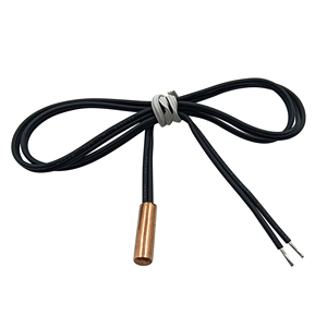 Sensor de temperatura NTC para sensor de refrigerador 10K 15K 20K 50k 100k termistor PT100 - Product Image 3