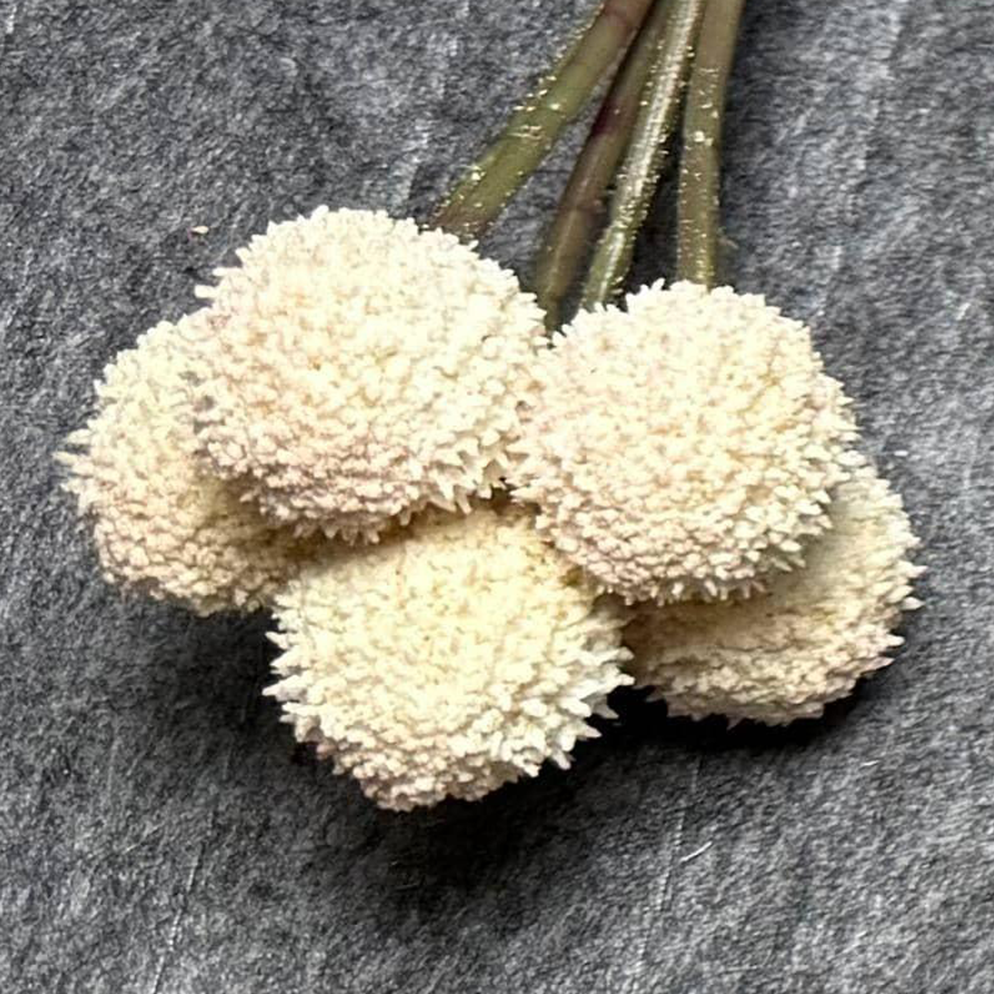 7 Stems 7 heads 62cm Beige