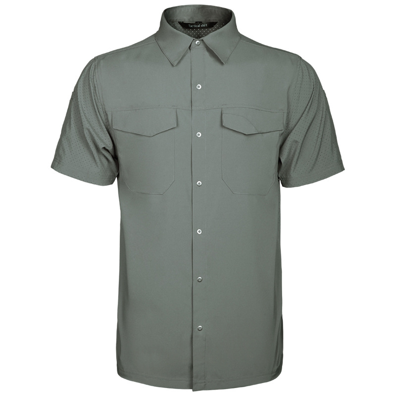 Grayish Green