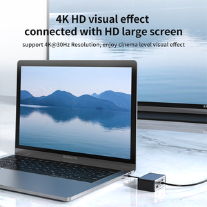 12 in 1 Usb c Hub Type c Hub Type-C to PD HD-MI SD TF AUDIO3.5 VGA RJ45 USB-C2.0 USB-C3.0 USB3.0*2 USB2.0