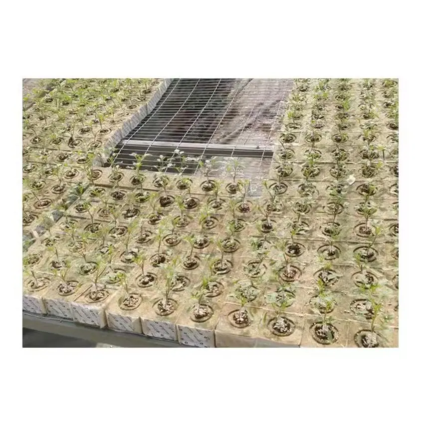 Wholesale 4inch 6*6 Hydroponic Rock Wool For Plant Agricultural