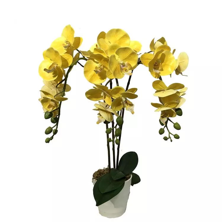 สีเหลือง