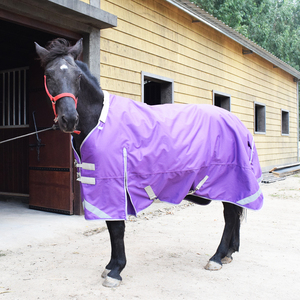 1200D Canal Edredón Turnout Horse Manta Alfombra Invierno Artículo personalizado Estilo Cadena Pcs Color Característica Material Origen