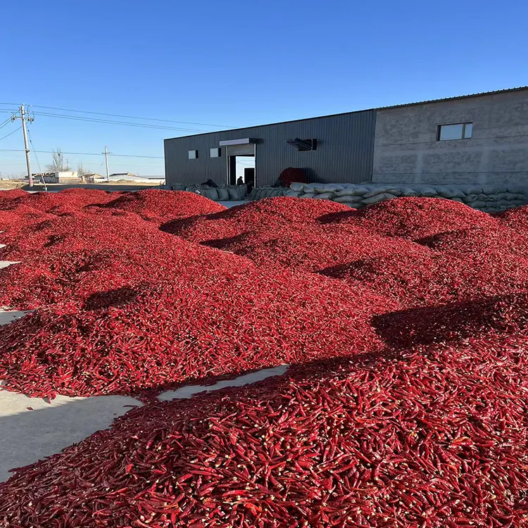 Precio al por mayor, pimiento picante, chile rojo seco, especias individuales, chile en polvo para cocinar