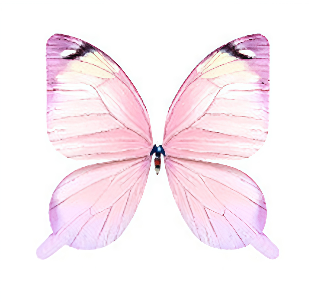 Couleur rose clair