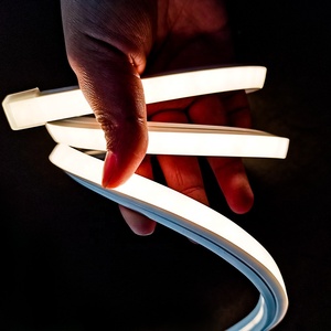 Flexible and Colorful <strong>Led</strong> Neon Light Size 10*10 <strong>mm</strong> with 120 <strong>Leds</strong> Applied in Outdoor Lighting - Product Image 3