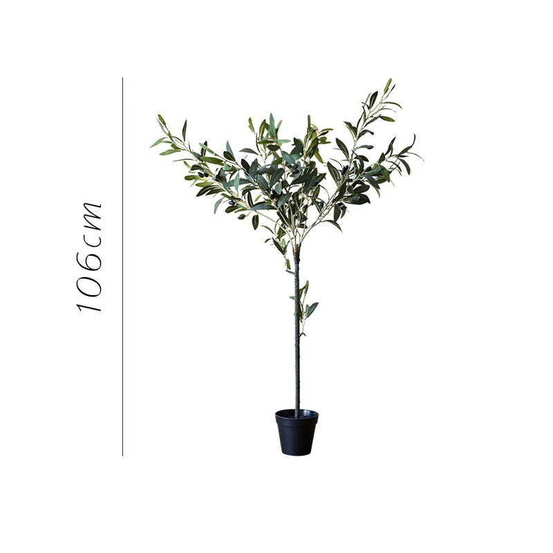 106cm-olive tree
