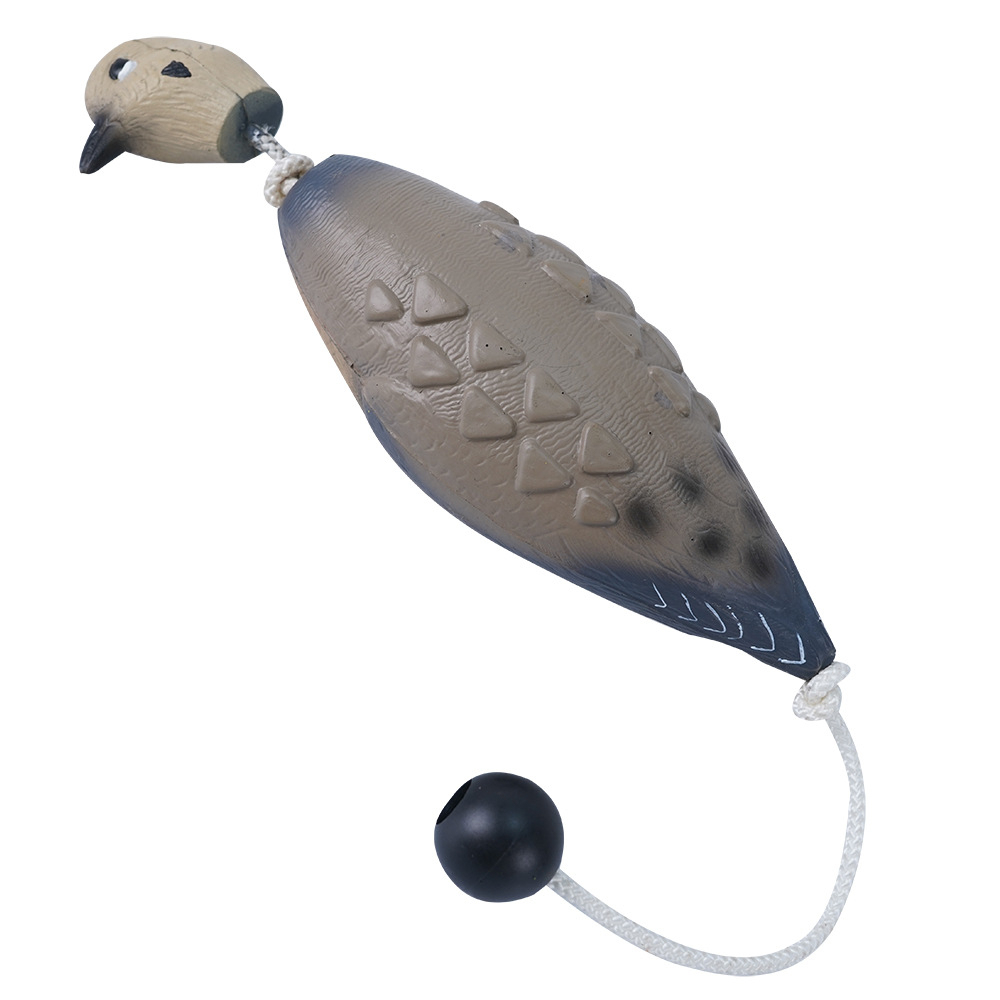 Little grey pigeon