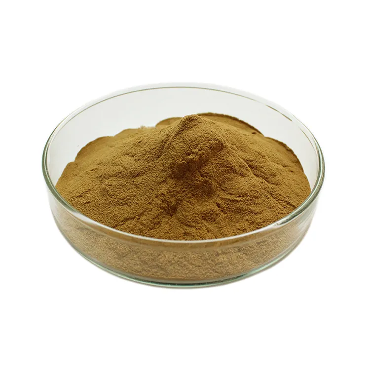 Bột Astragalosides/Rễ Astragalus P.E/Astragalus P.E.