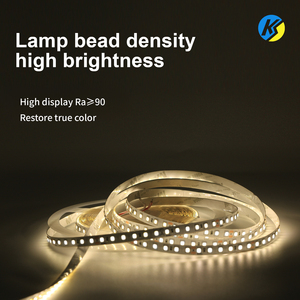2835 SMD LEDストリップライト12V 240LED/m 8mmワイド3000K-6000KカラーオプションスマートUSBフレキシブルリモコン10m最小注文 - Product Image 5