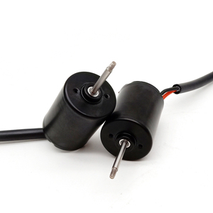 28mm*38mm 12 Volt Brushless Micro Motor 24v <strong>Low</strong> Noise High Rpm <strong>Dc</strong> Electric Bldc Motor With Cw Ccw <strong>Pwm</strong> <strong>Control</strong> 8w - Product Image 3