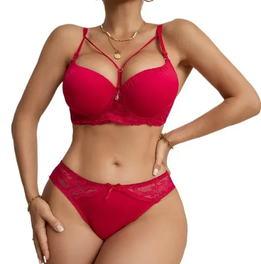 Fabricant de soutien-gorge et culotte à fleurs en dentelle brahot de haute qualité pour femmes ensembles soutien-gorge et culotte grande taille pour femme