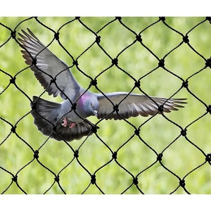 Vegetable <strong>Custom</strong> Anti Bird <strong>Net</strong> Cheap Polyethylene <strong>Mesh</strong> Bird Protection Netting Plastic Anti Bird <strong>Net</strong> - Product Image 1