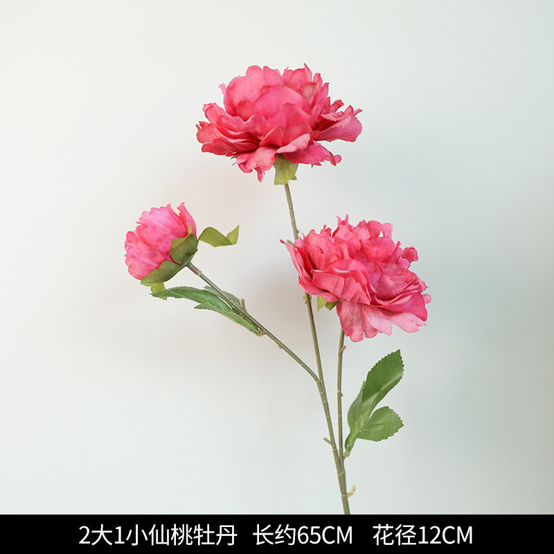 2 adultes + 1 enfant - pivoine de Xiantao