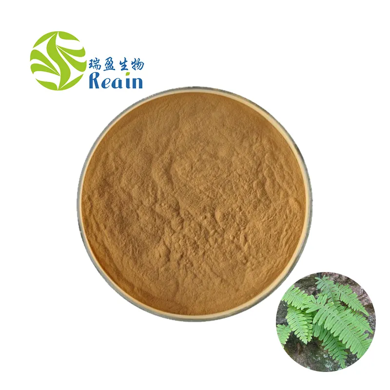 Healthy Food Supplement Polypodium Leucotomos Root Extract Powder 30:1