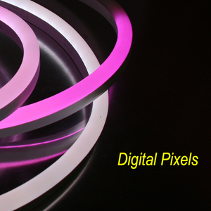 Bán Sỉ Dải Đèn LED Neon Flex 5050 RGB Lập Trình Pixel WS2811 SPI DMX 10X20Mm Siêu Mỏng IP68 Biển Hiệu Chiếu Sáng Ngày Lễ - Product Image 3