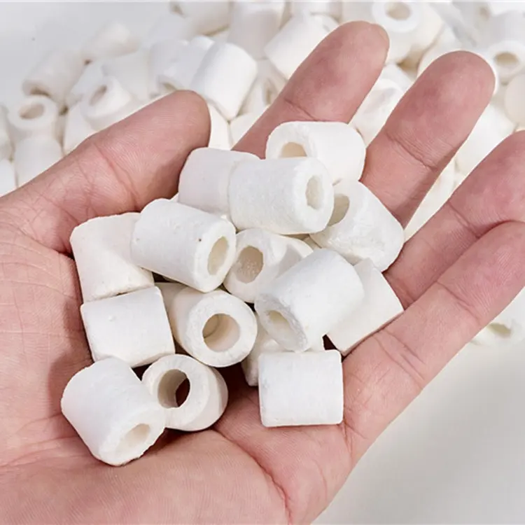 Accessori per acquari per acquario Media filtrante batteri nitrificanti casa Bio Ring in ceramica per laghetto