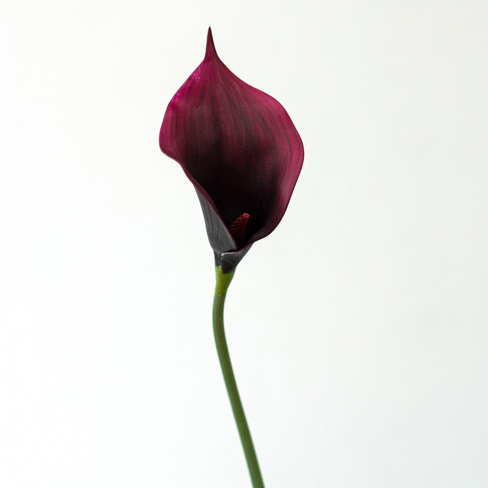 4# rouge