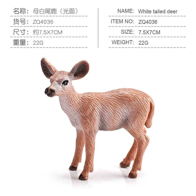 Cerf de Virginie femelle coloré 4036, 22g