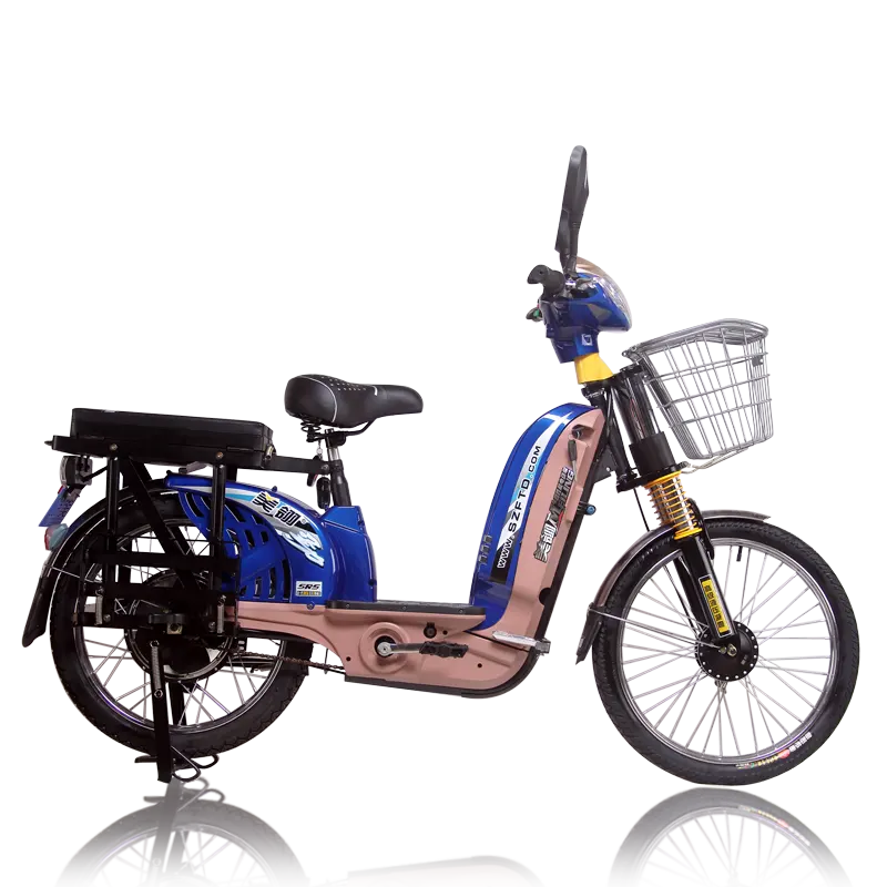 Ce Carry Cargo bicicletta elettrica rimovibile batteria al litio al piombo carico bici CKD in vendita