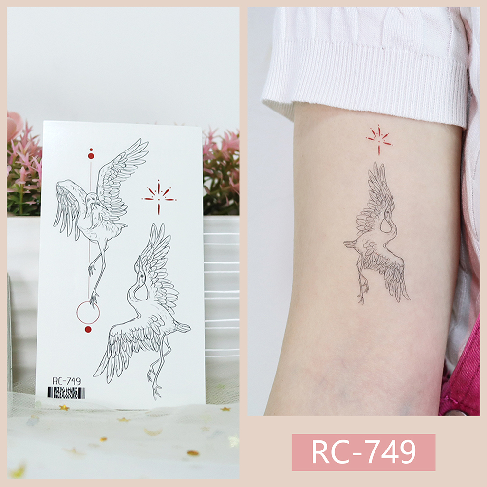 RC-749