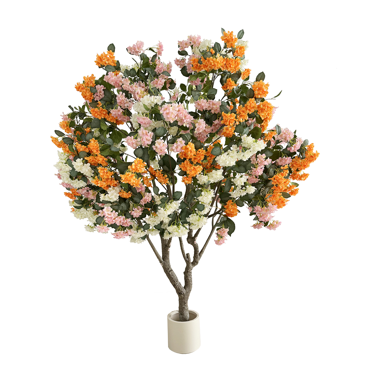 Hortensia